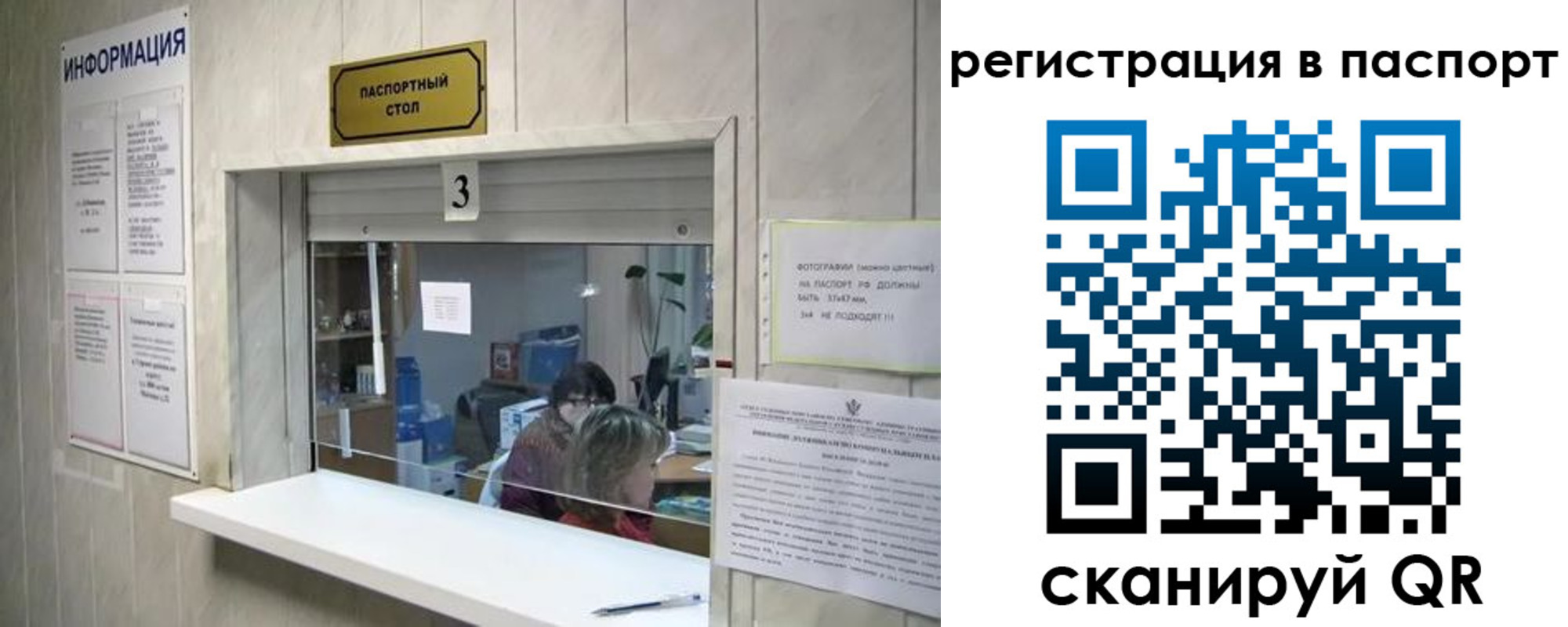прописка поиск в Ногинске